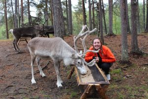 a student wearing bright orange crouches by a reindeer in the Arctic forest