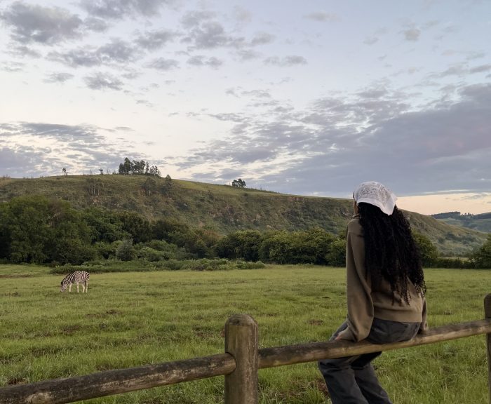 Toyin Green on fence in South Africa
